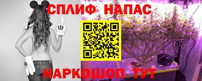 МДМА Можга