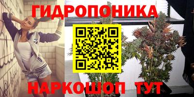 МДМА Можга