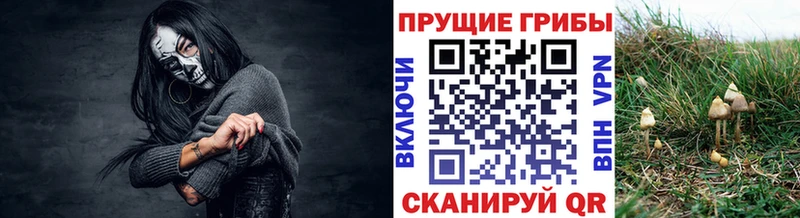 что такое наркотик  Фролово  Галлюциногенные грибы MAGIC MUSHROOMS 