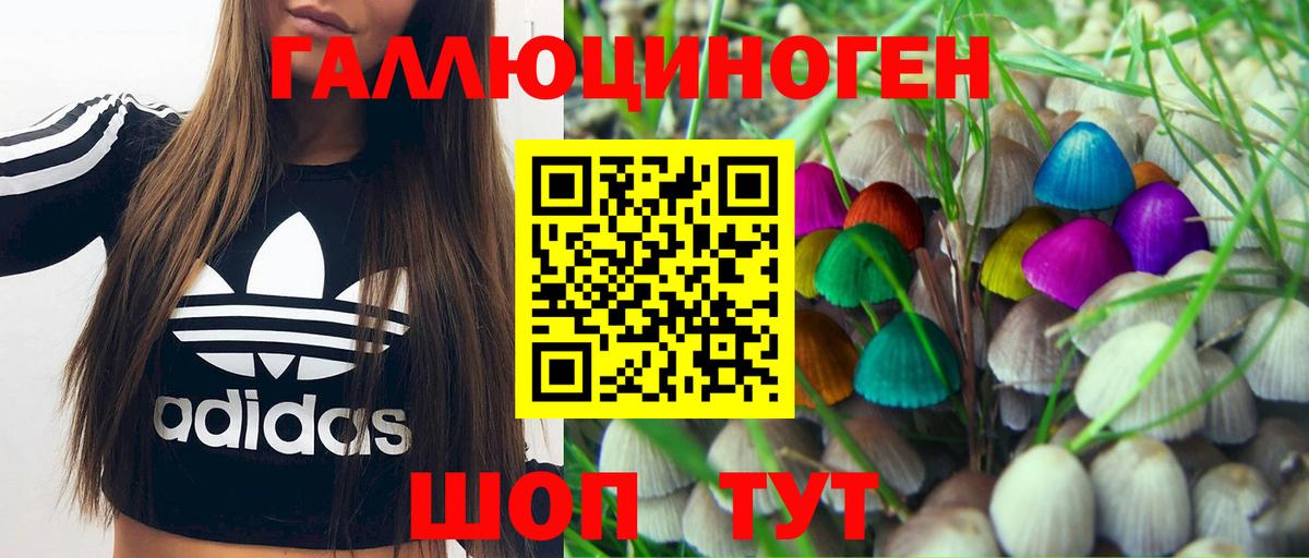 Псилоцибиновые грибы Magic Shrooms  Фролово  Псилоцибиновые грибы GOLDEN TEACHER 